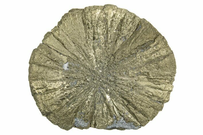 Radiant Pyrite Sun - Sparta, Illinois #342567